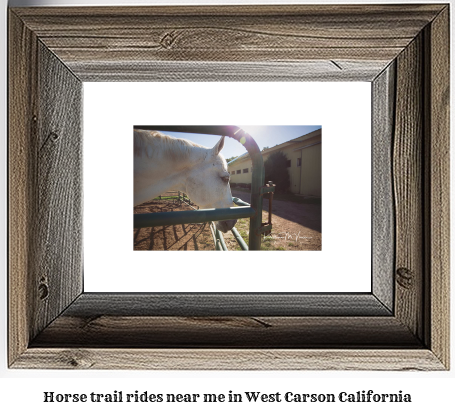 horse trail rides near me in West Carson, California